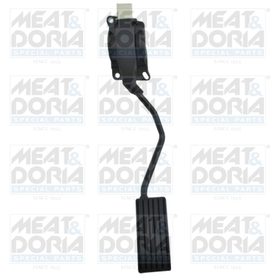 Accelerator Pedal Unit